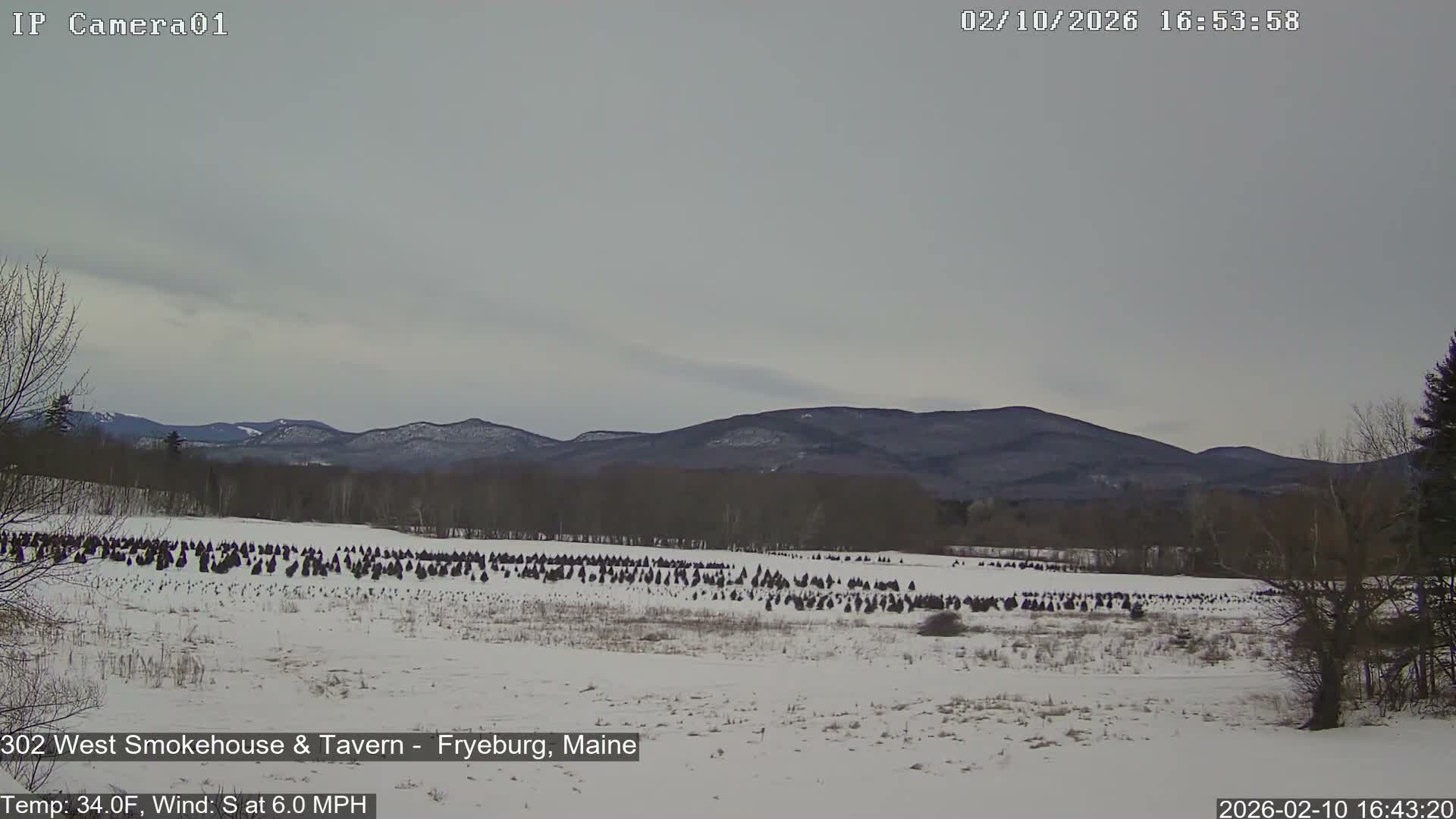 Fryeburg Conway Common Landstate Forest Live Cam- Maine, USA