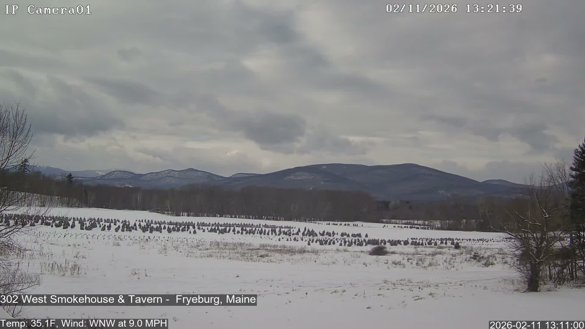 Fryeburg Conway Common Landstate Forest Live Cam- Maine, USA