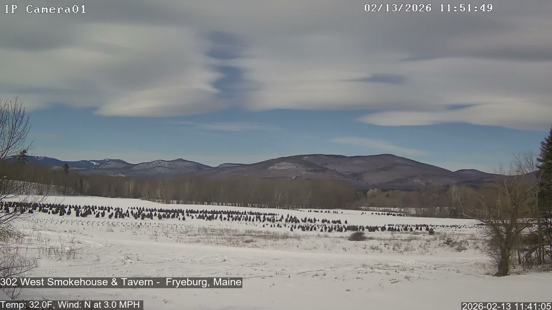 Fryeburg Conway Common Landstate Forest Live Cam- Maine, USA