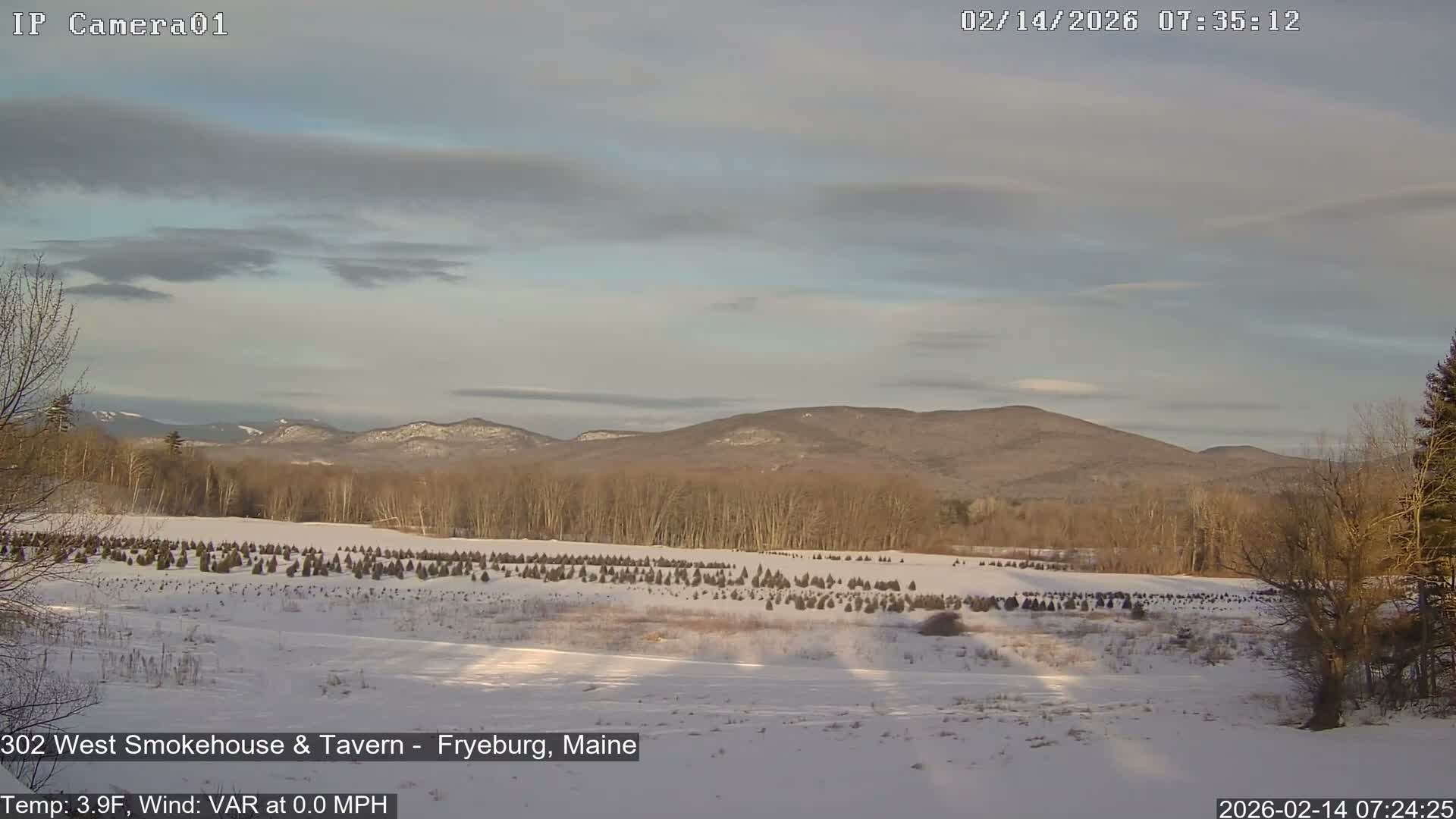 Fryeburg Conway Common Landstate Forest Live Cam- Maine, USA