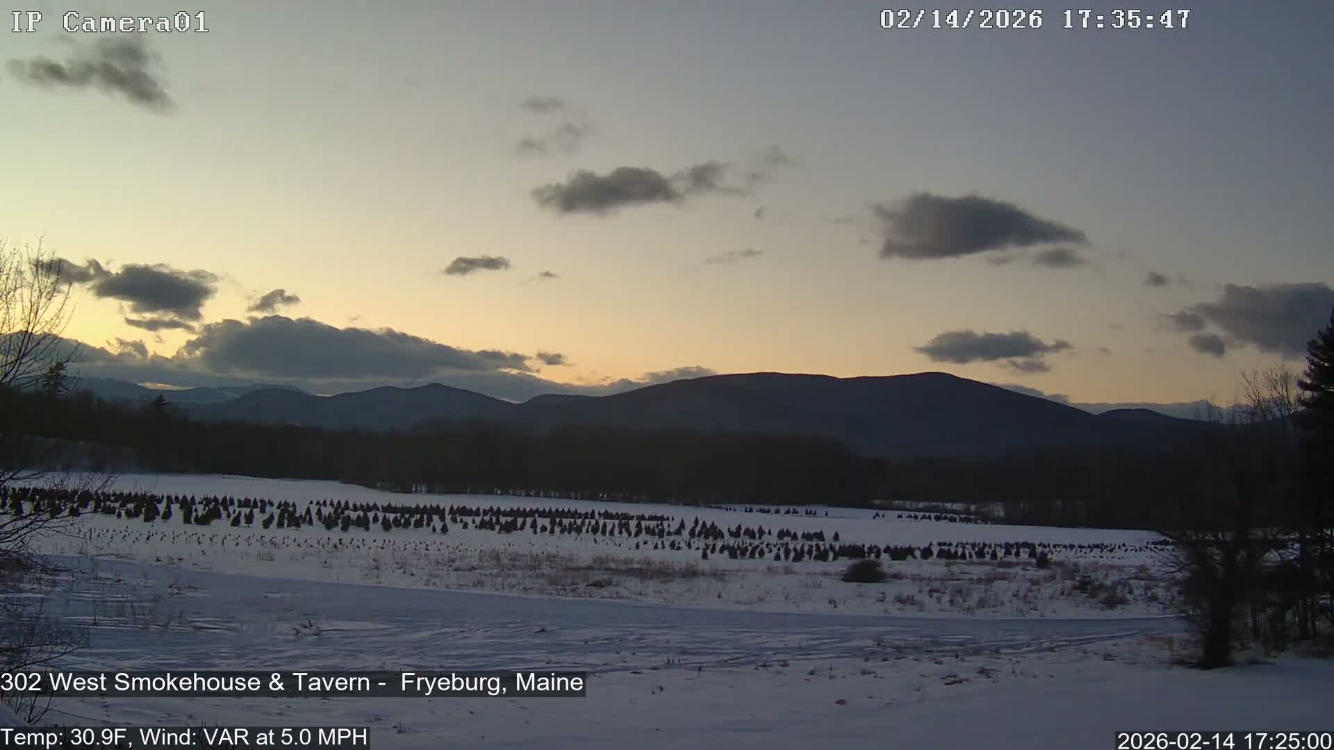 Fryeburg Conway Common Landstate Forest Live Cam- Maine, USA