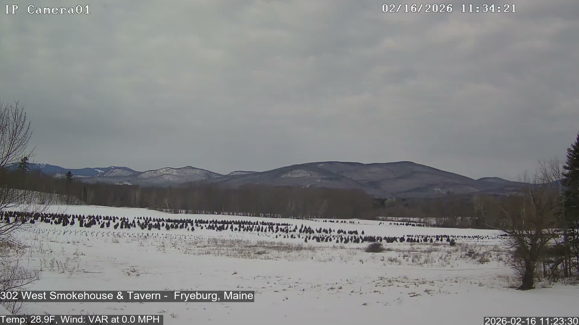 Fryeburg Conway Common Landstate Forest Live Cam- Maine, USA