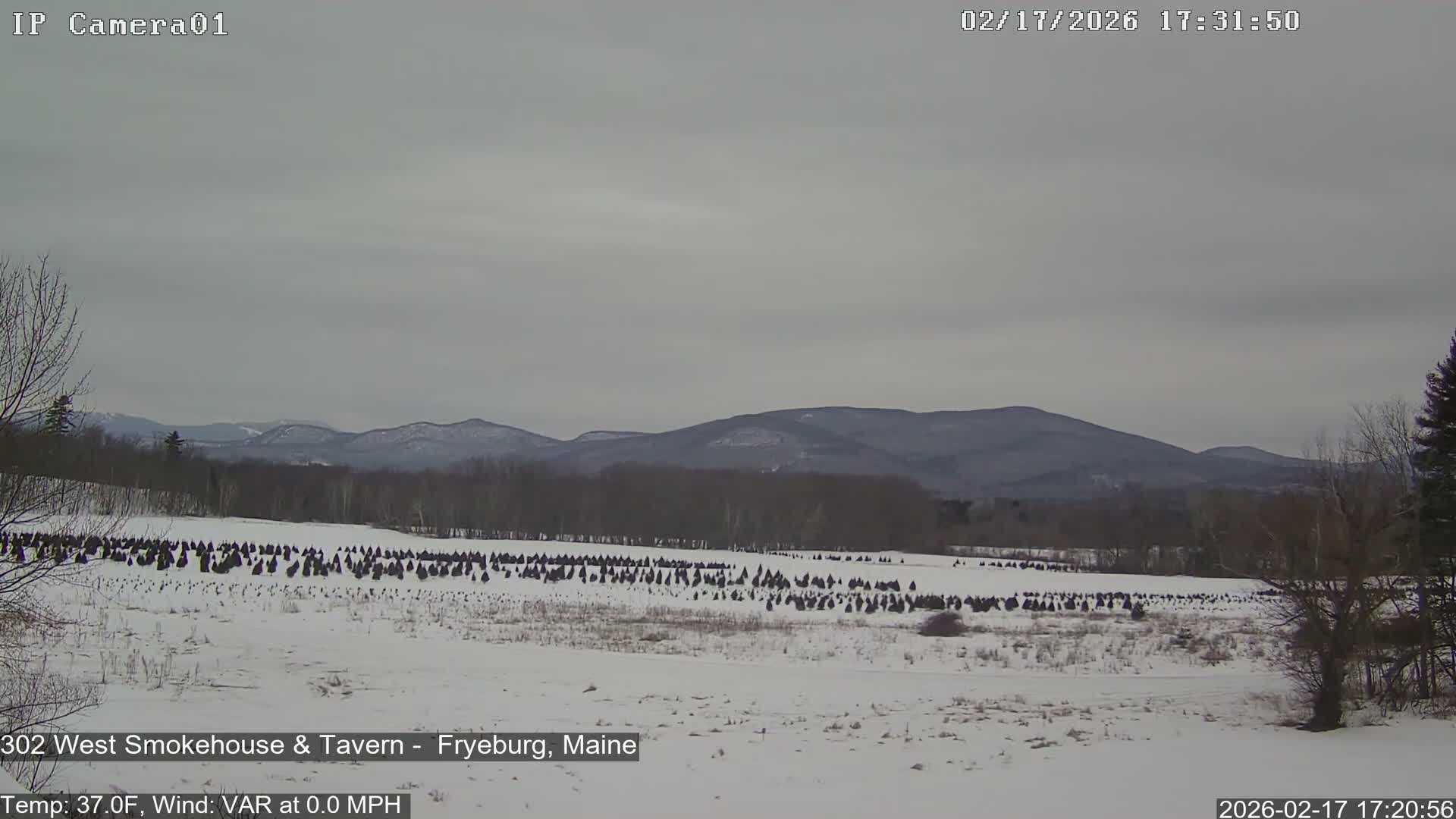 Fryeburg Conway Common Landstate Forest Live Cam- Maine, USA