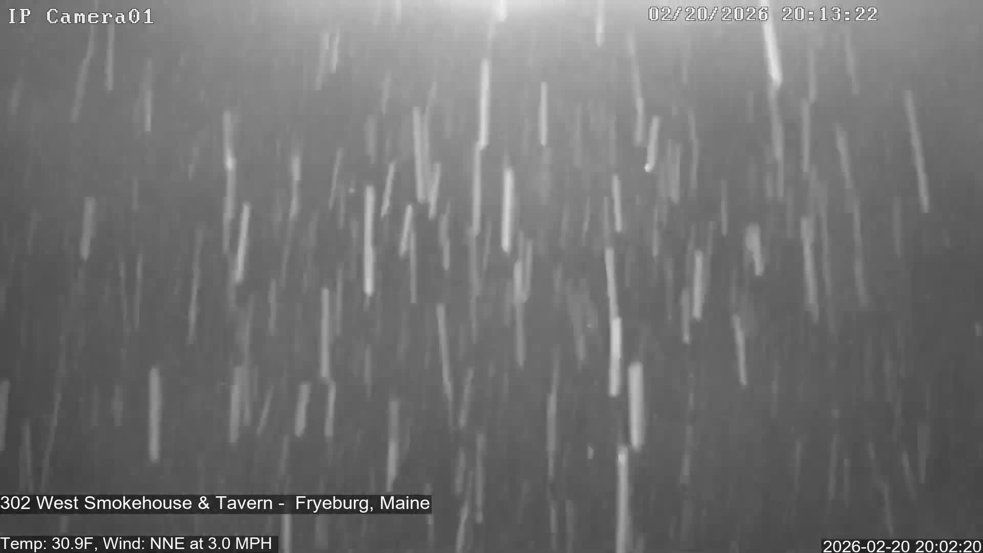 Fryeburg Conway Common Landstate Forest Live Cam- Maine, USA