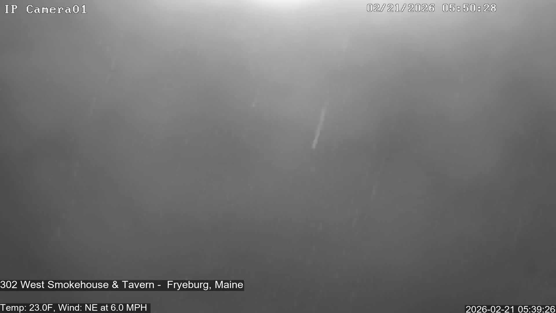 Fryeburg Conway Common Landstate Forest Live Cam- Maine, USA