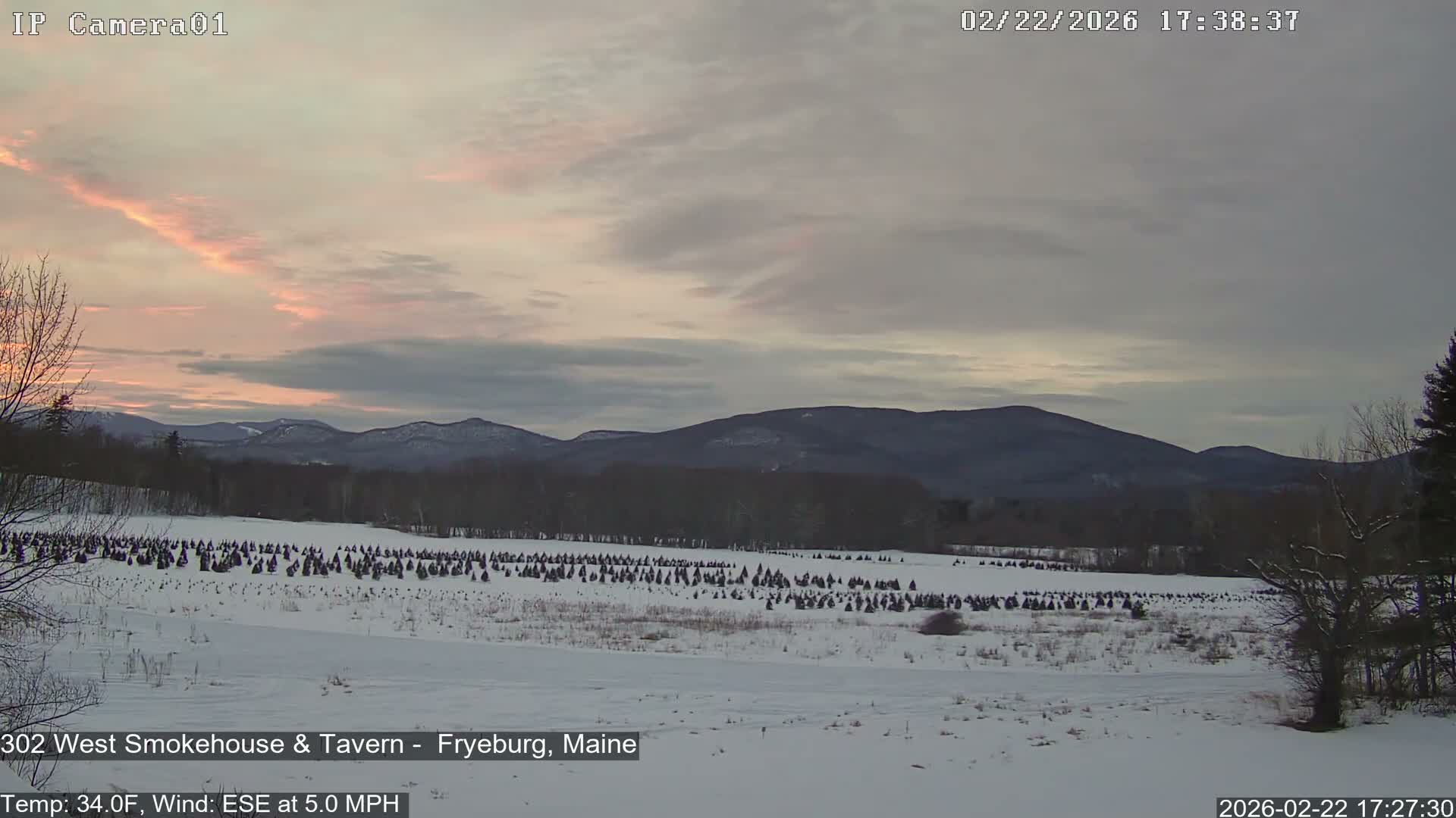 Fryeburg Conway Common Landstate Forest Live Cam- Maine, USA