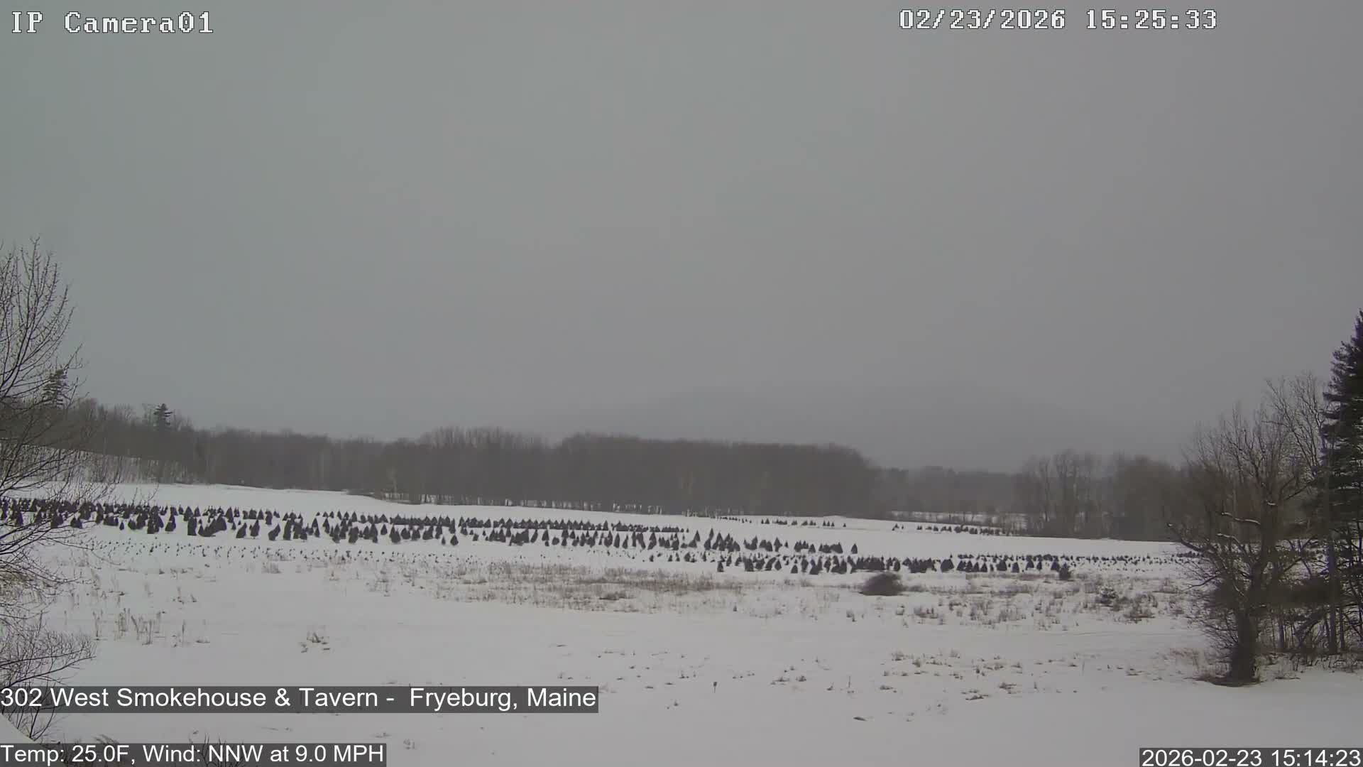 Fryeburg Conway Common Landstate Forest Live Cam- Maine, USA