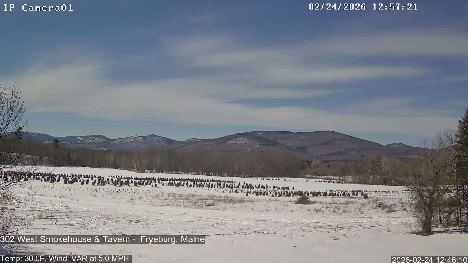 Fryeburg Conway Common Landstate Forest Live Cam- Maine, USA