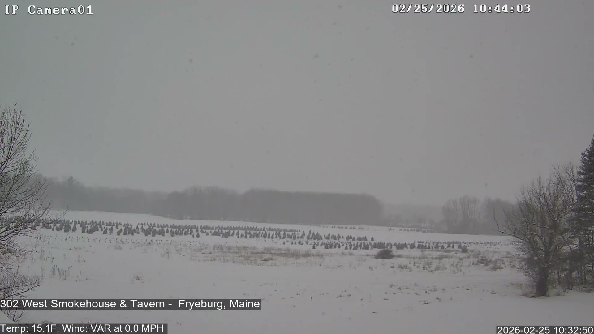 Fryeburg Conway Common Landstate Forest Live Cam- Maine, USA