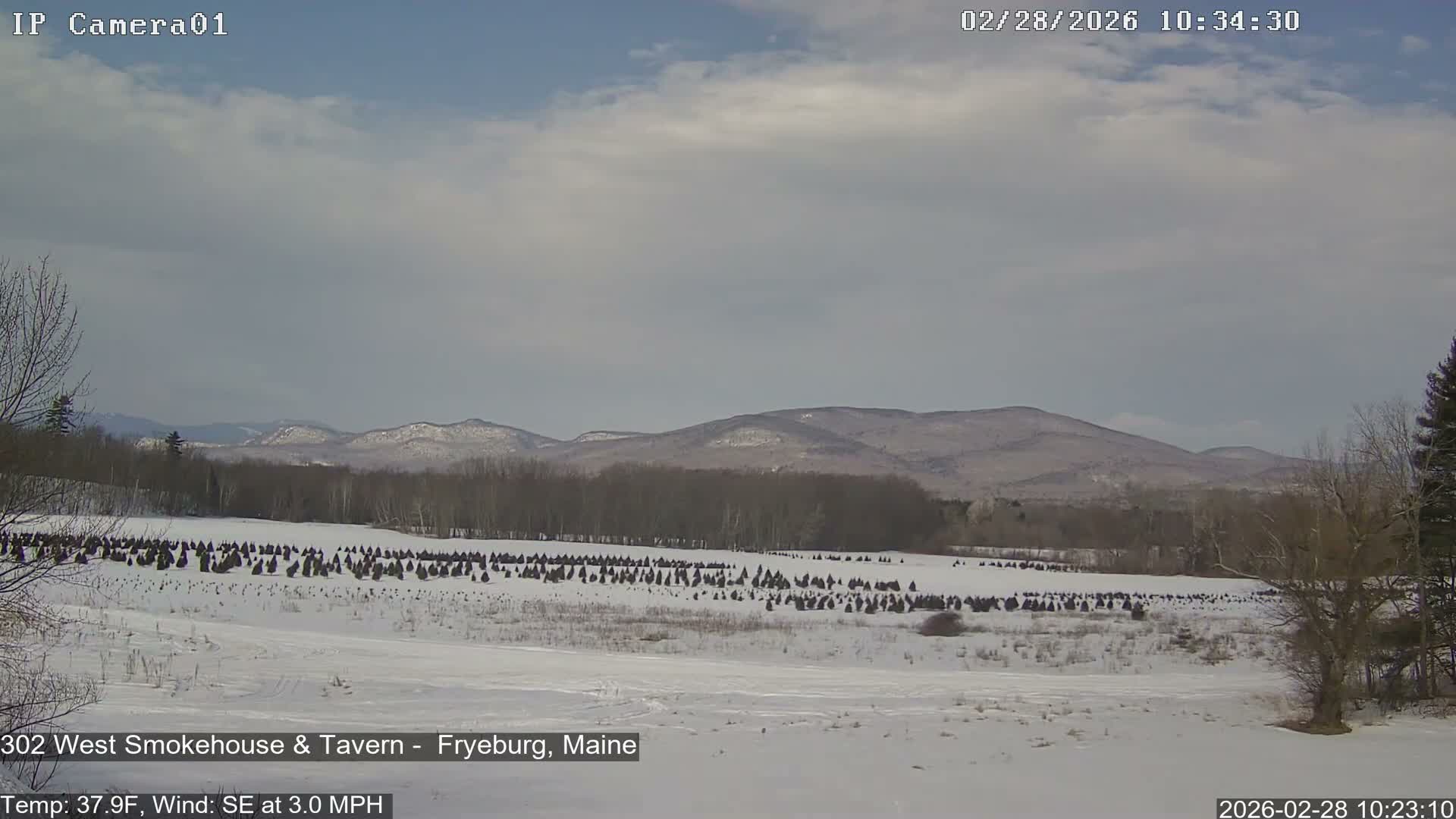 Fryeburg Conway Common Landstate Forest Live Cam- Maine, USA