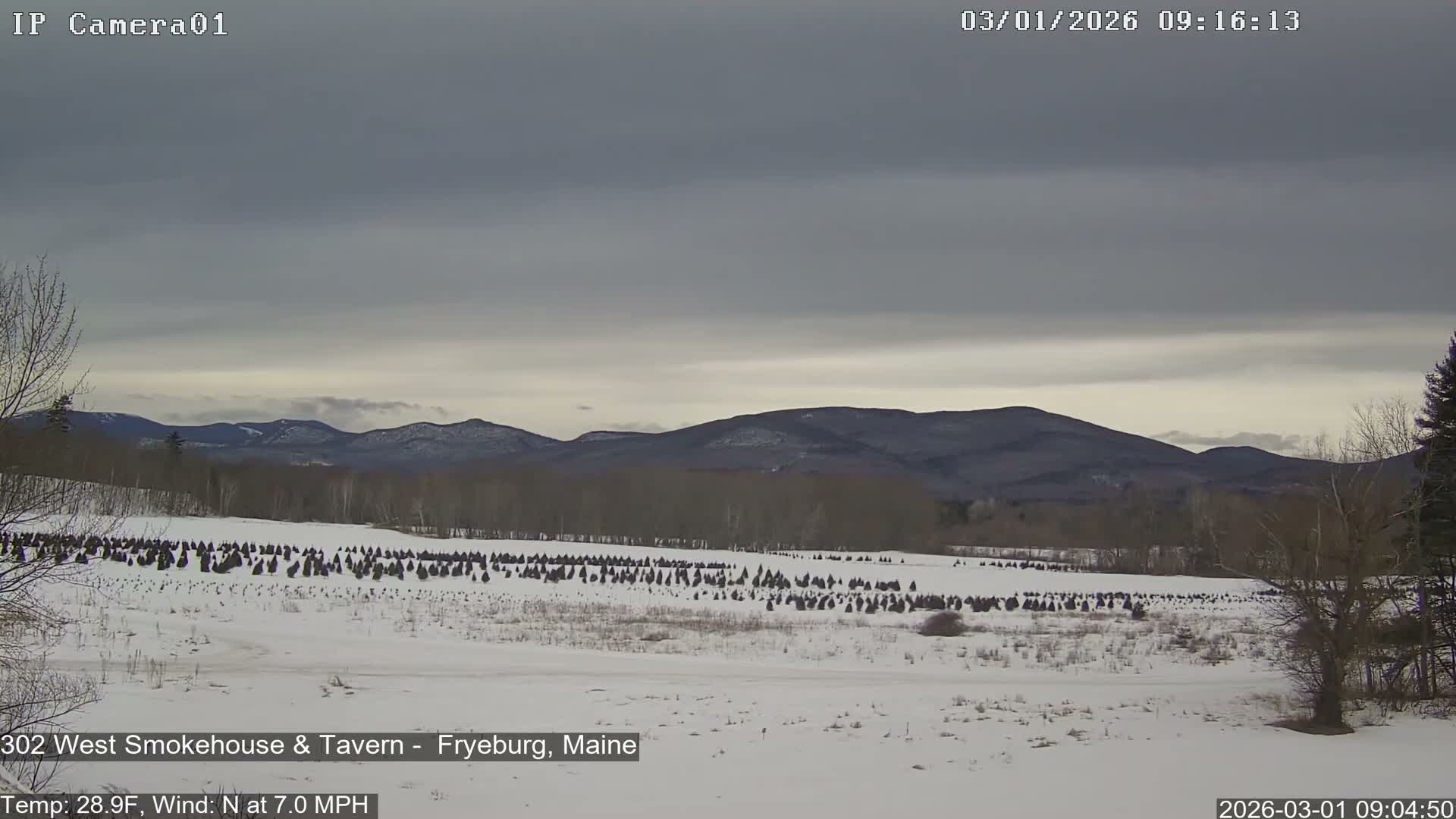 Fryeburg Conway Common Landstate Forest Live Cam- Maine, USA