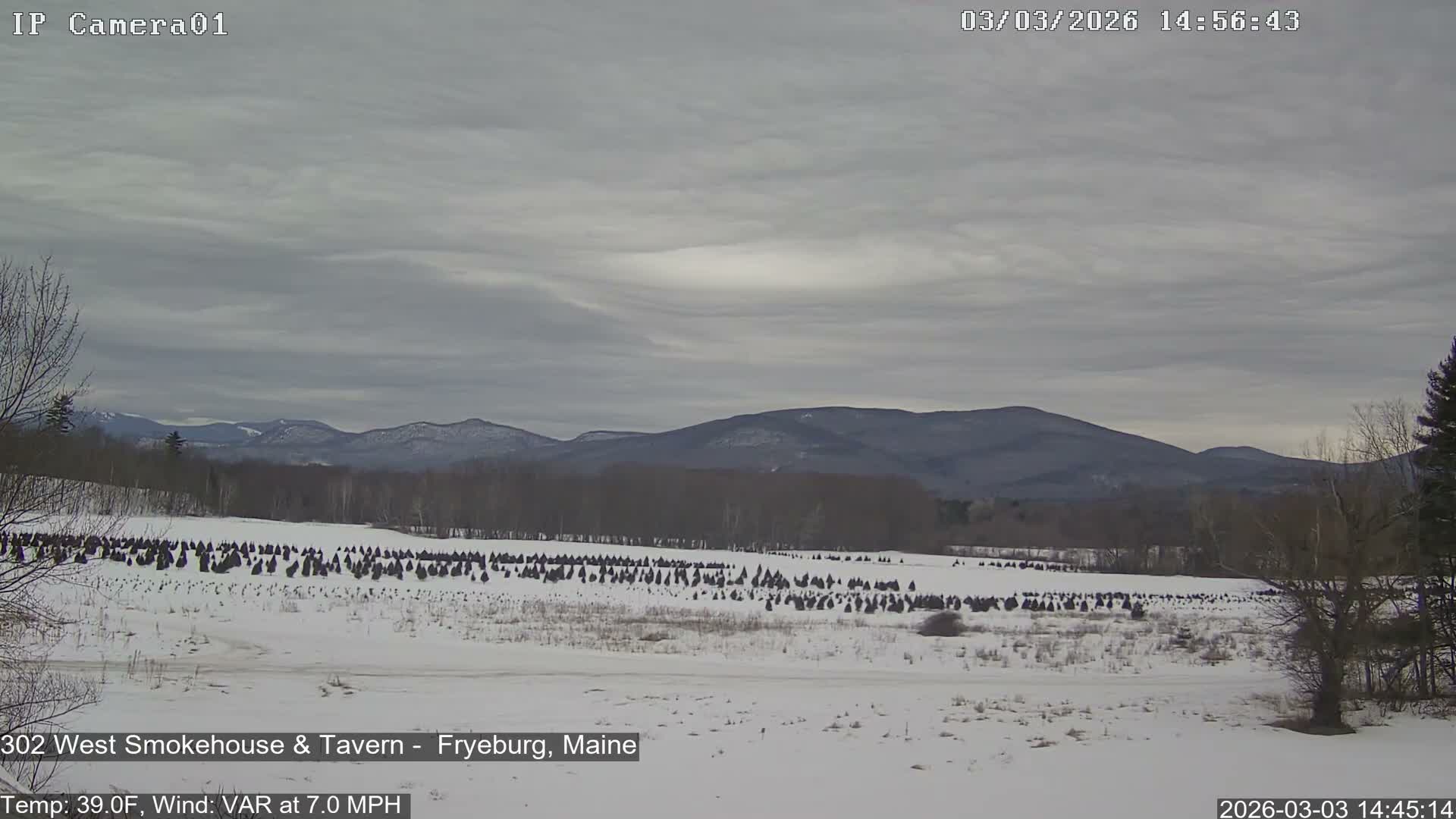 Fryeburg Conway Common Landstate Forest Live Cam- Maine, USA