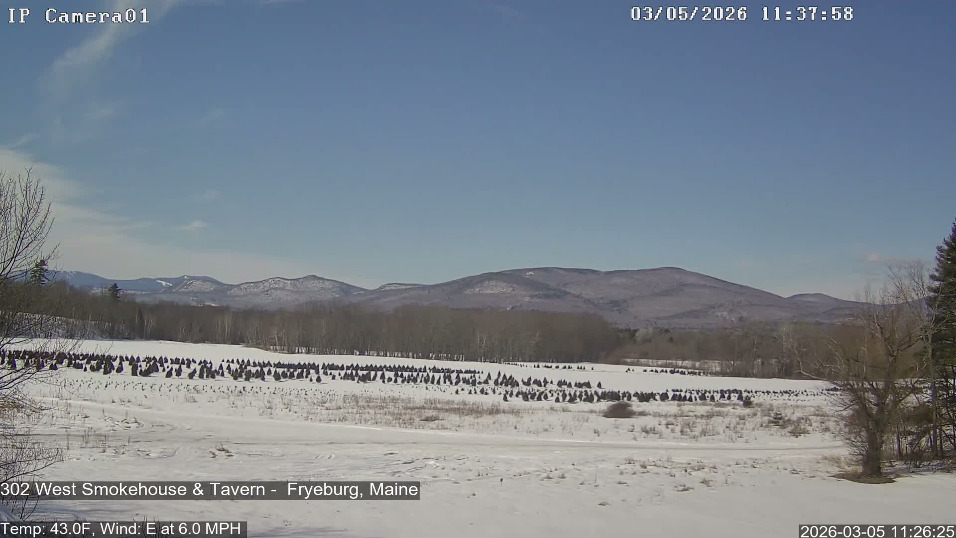 Fryeburg Conway Common Landstate Forest Live Cam- Maine, USA