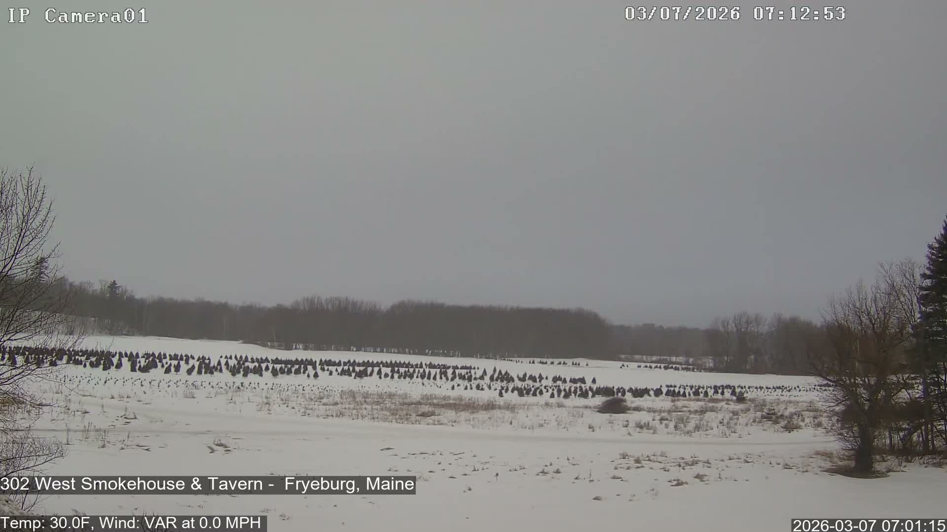 Fryeburg Conway Common Landstate Forest Live Cam- Maine, USA