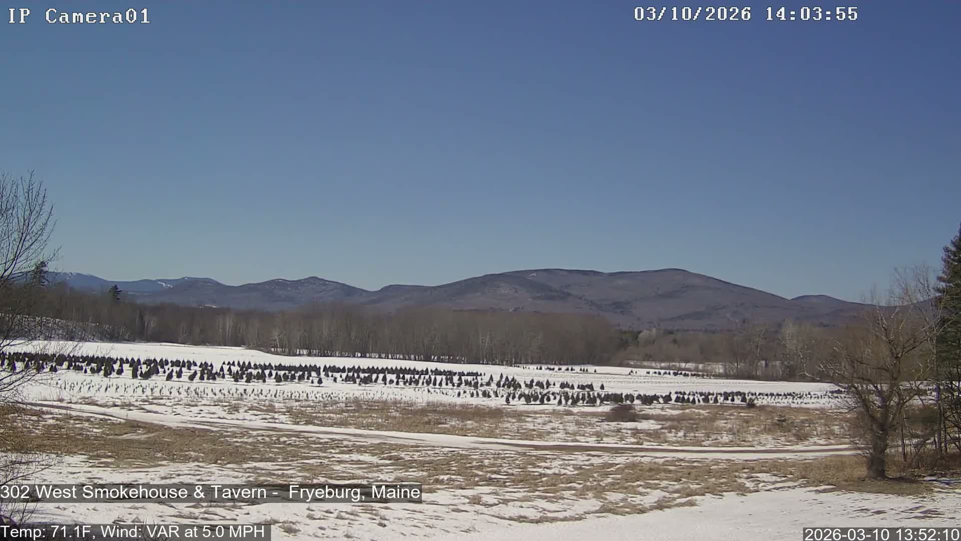 Fryeburg Conway Common Landstate Forest Live Cam- Maine, USA