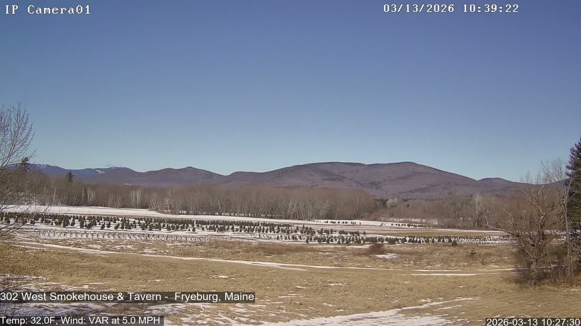 Fryeburg Conway Common Landstate Forest Live Cam- Maine, USA