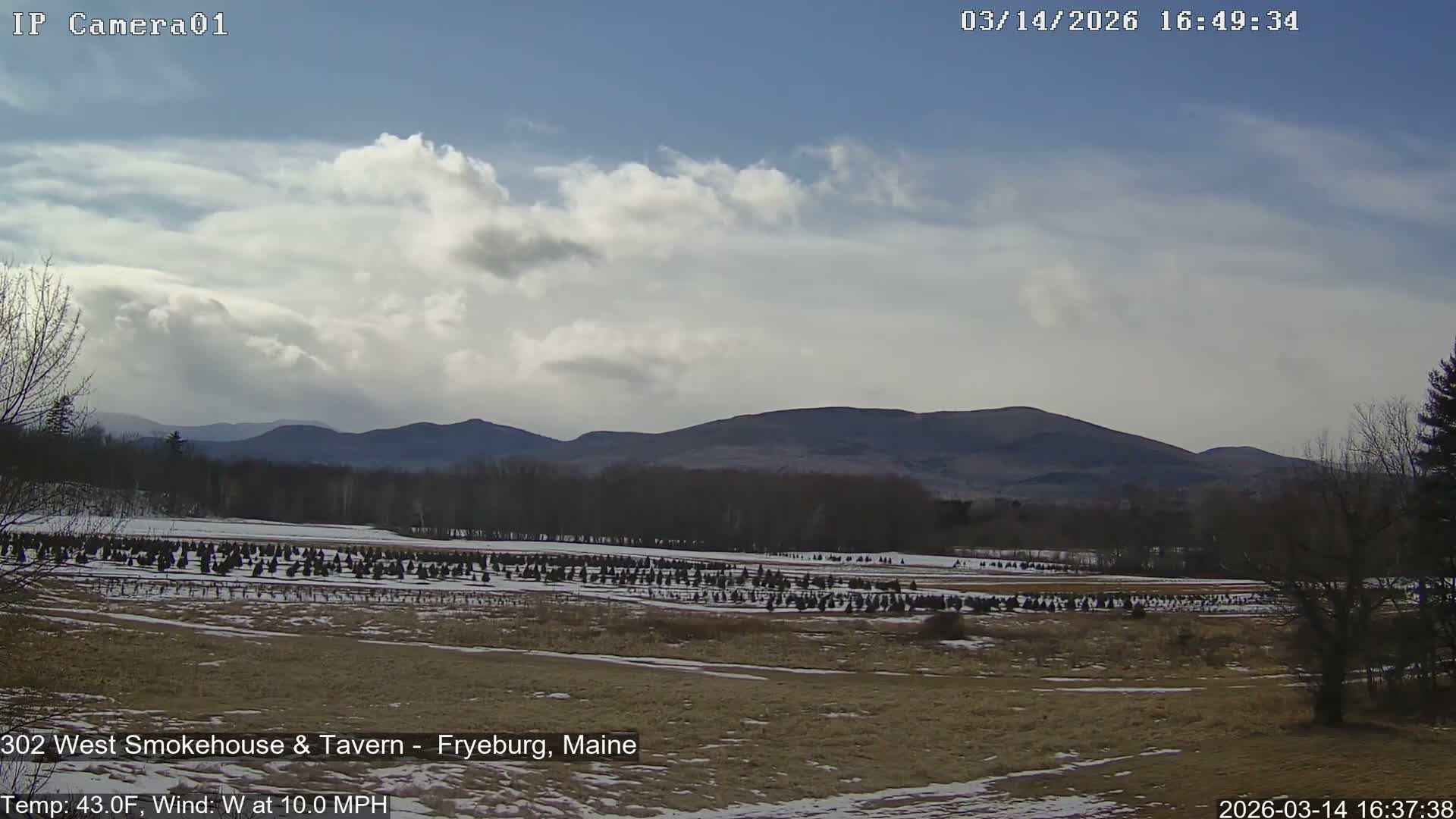 Fryeburg Conway Common Landstate Forest Live Cam- Maine, USA