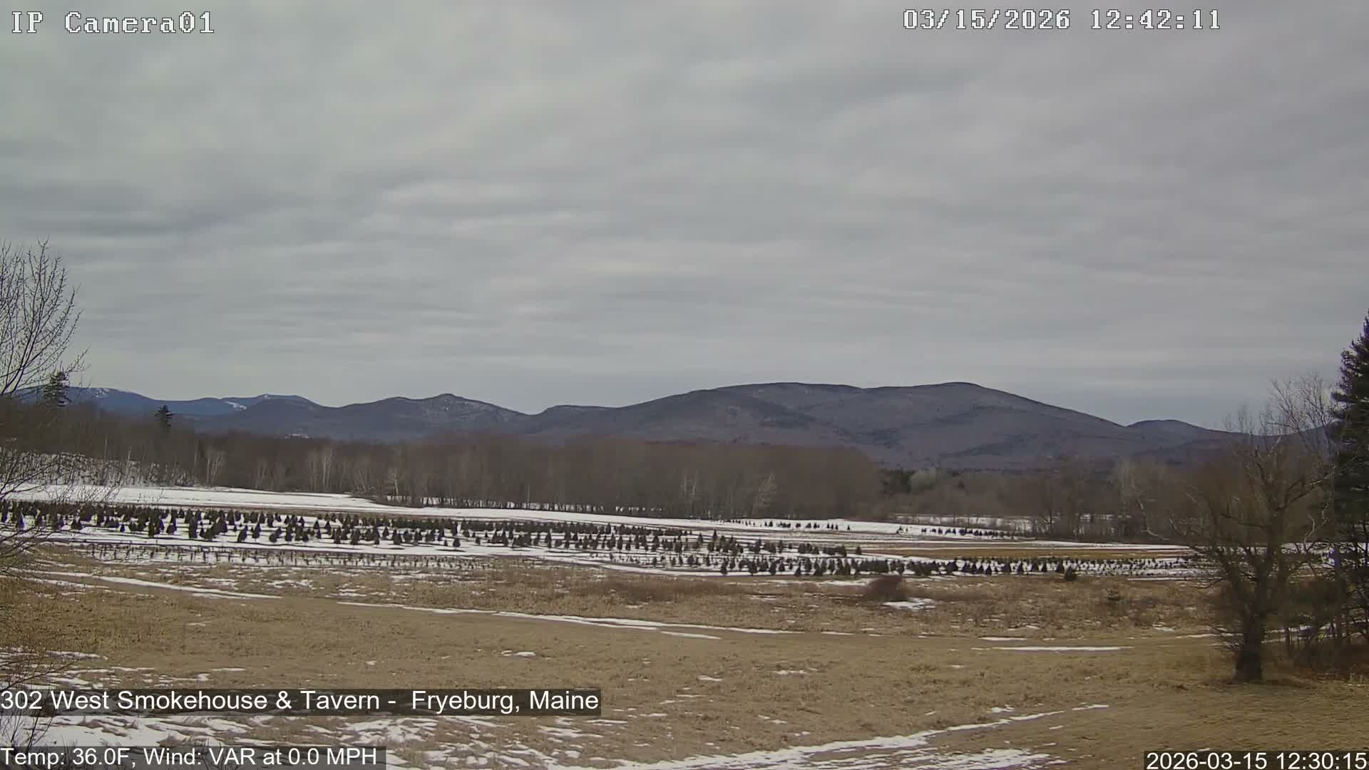 Fryeburg Conway Common Landstate Forest Live Cam- Maine, USA