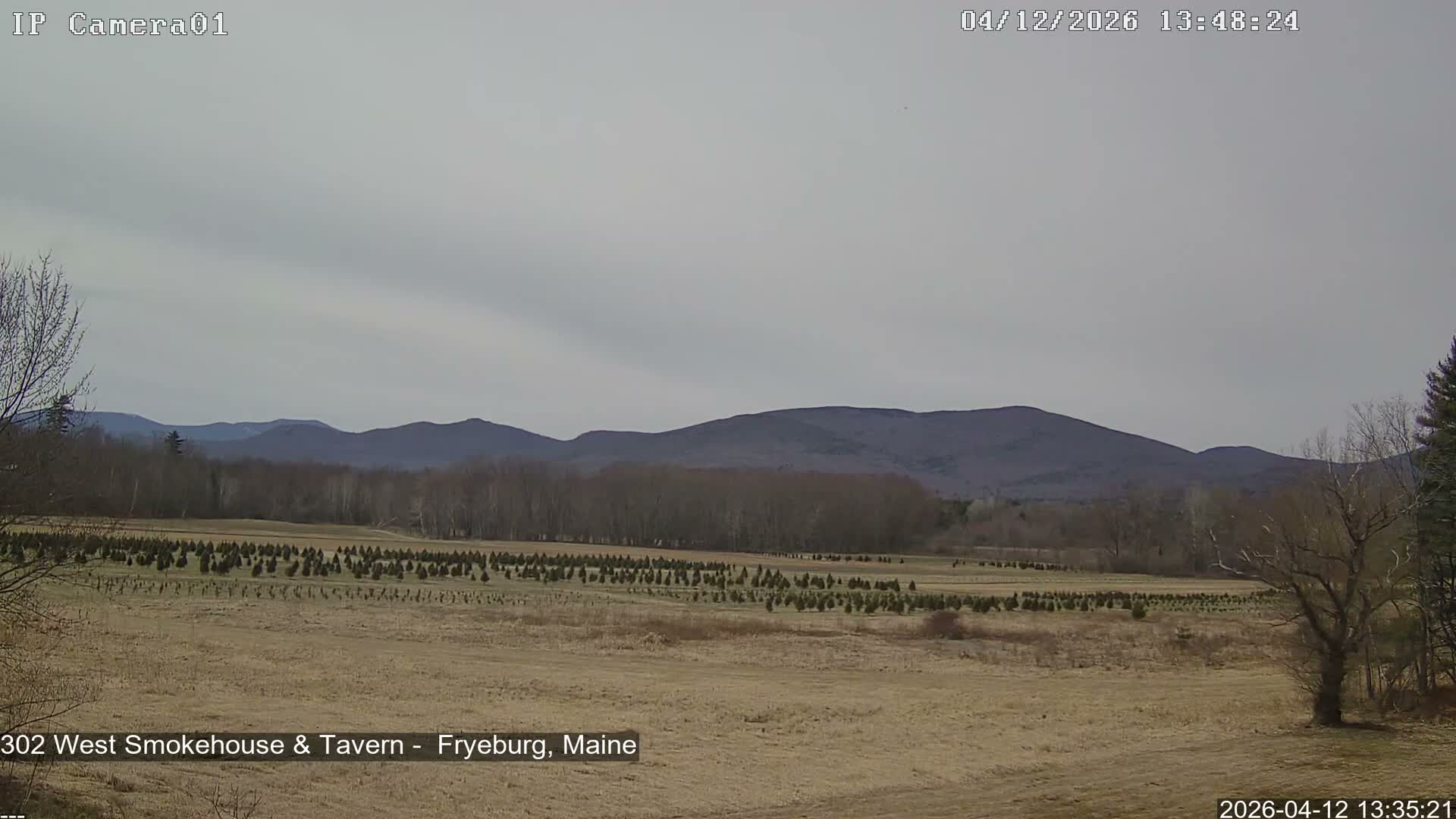 Fryeburg Conway Common Landstate Forest Live Cam- Maine, USA