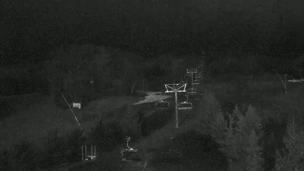 A nighttime, low-light view of a ski lift and surrounding trees.