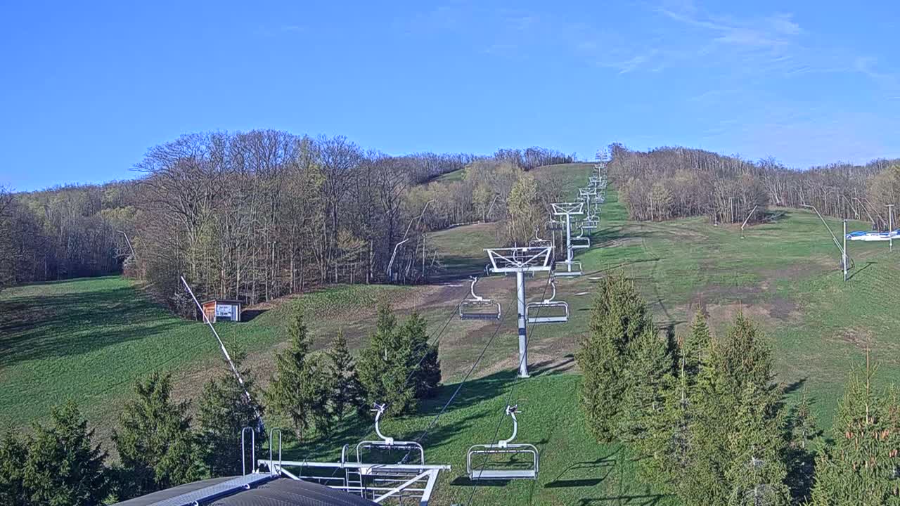 A chairlift ascends a grassy hill lined with deciduous trees under a clear blue sky.