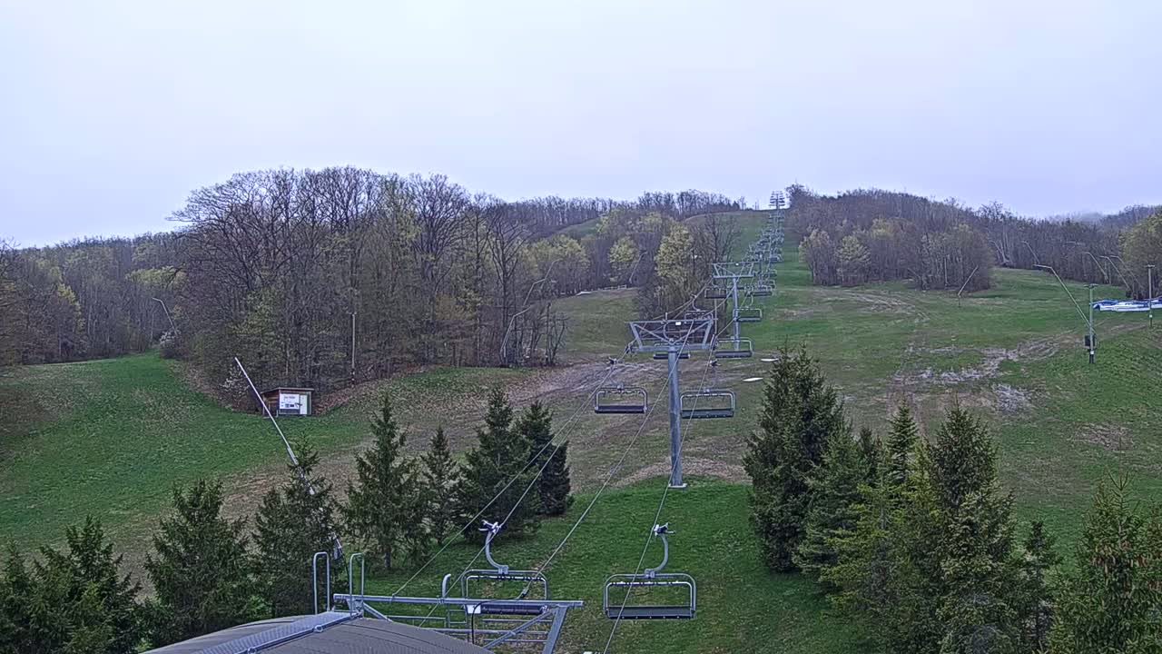 A chairlift ascends a grassy hill dotted with evergreens under an overcast sky.
