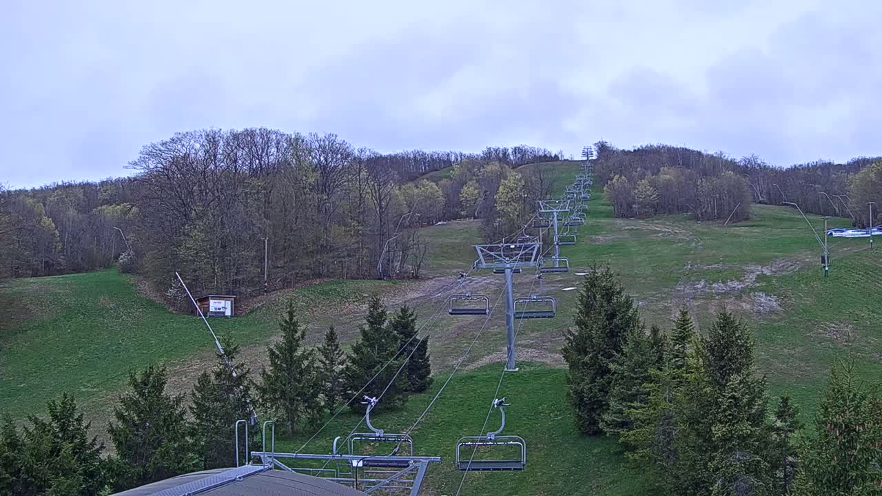 A chairlift ascends a grassy hill dotted with evergreen trees under a cloudy sky.