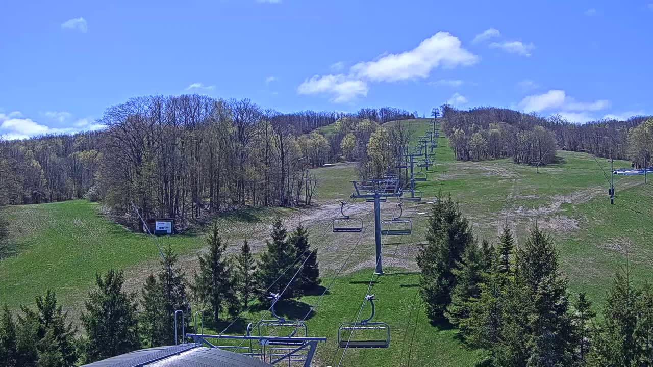 A chairlift ascends a grassy hill dotted with evergreens under a mostly sunny sky.