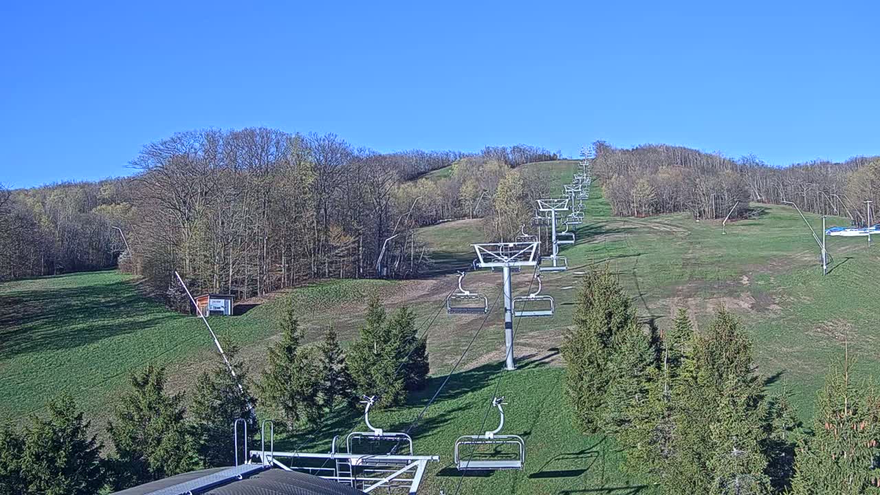 A chairlift ascends a grassy hill dotted with evergreens under a clear blue sky.