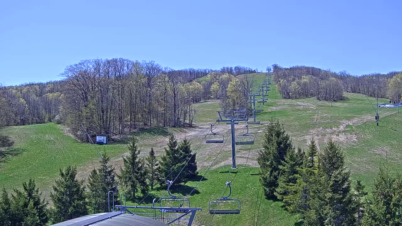 A chairlift ascends a grassy hill dotted with evergreen trees under a clear blue sky.