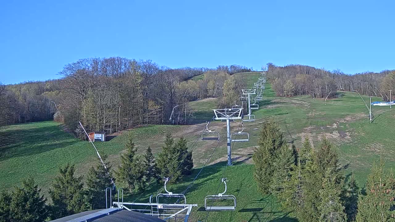 A chairlift ascends a grassy hill lined with deciduous trees under a clear blue sky.