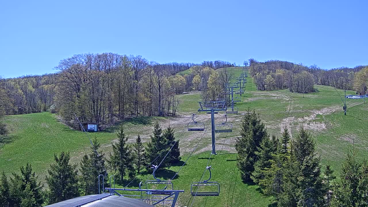 A ski lift ascends a grassy hill dotted with evergreen trees under a clear blue sky.