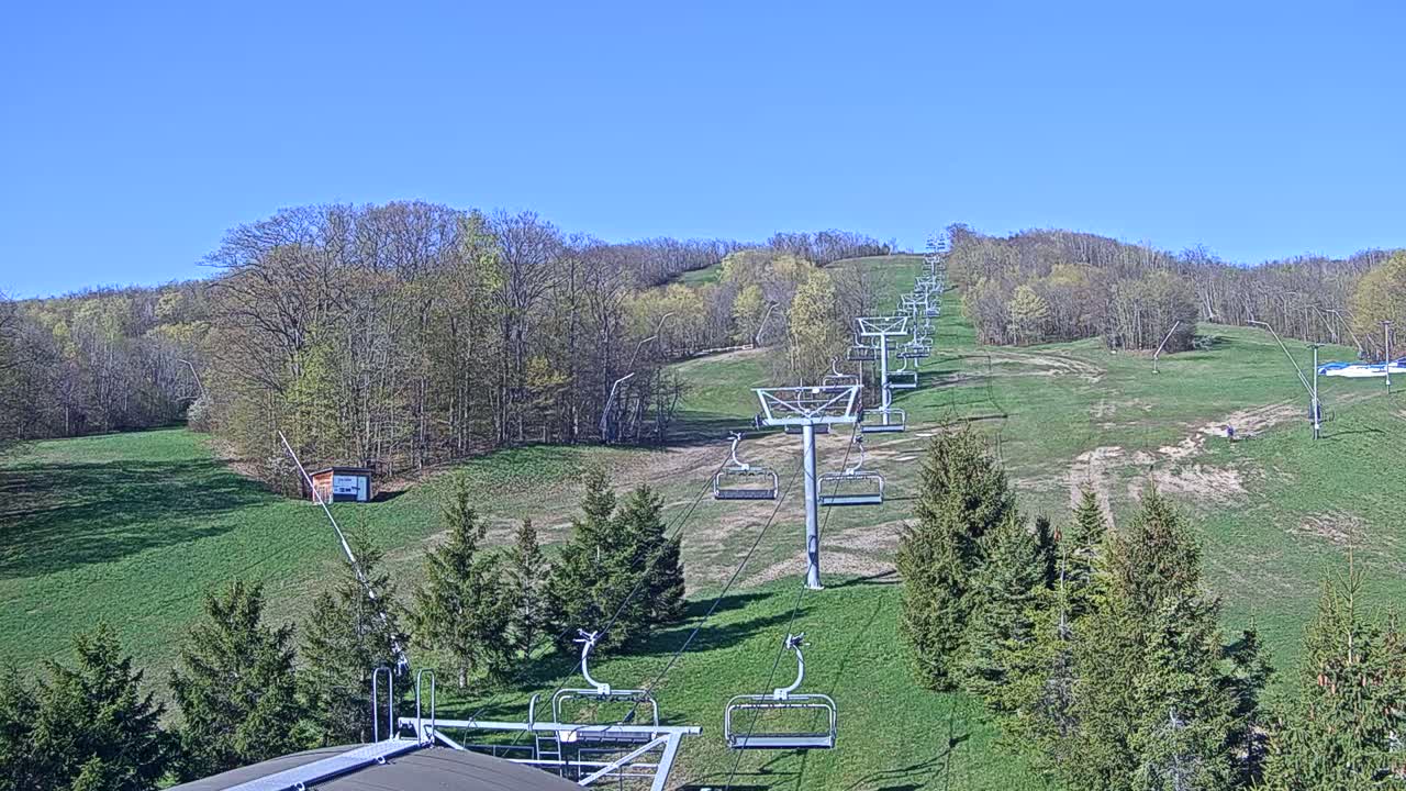 A chairlift ascends a grassy hillside dotted with evergreens under a clear blue sky.