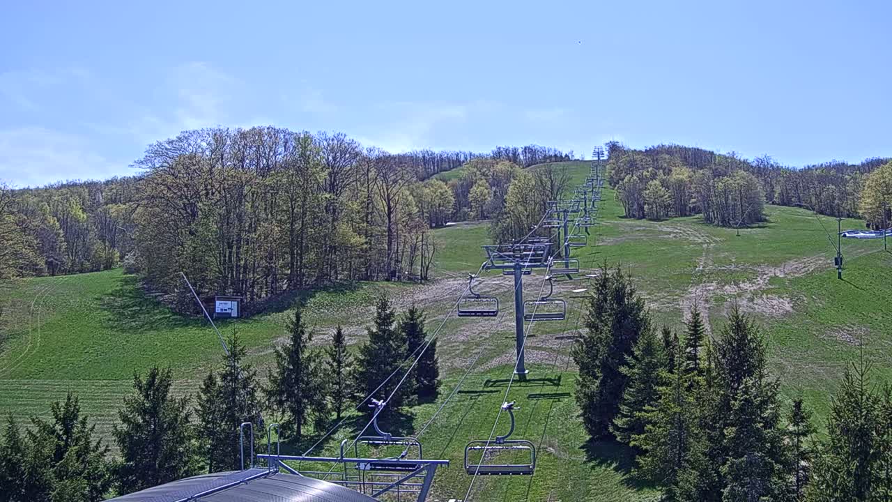 A chairlift extends up a grassy hill dotted with evergreen trees under a clear blue sky.