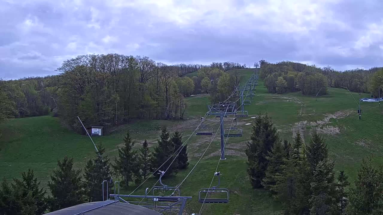A chairlift ascends a grassy hill covered in budding trees under a cloudy sky.