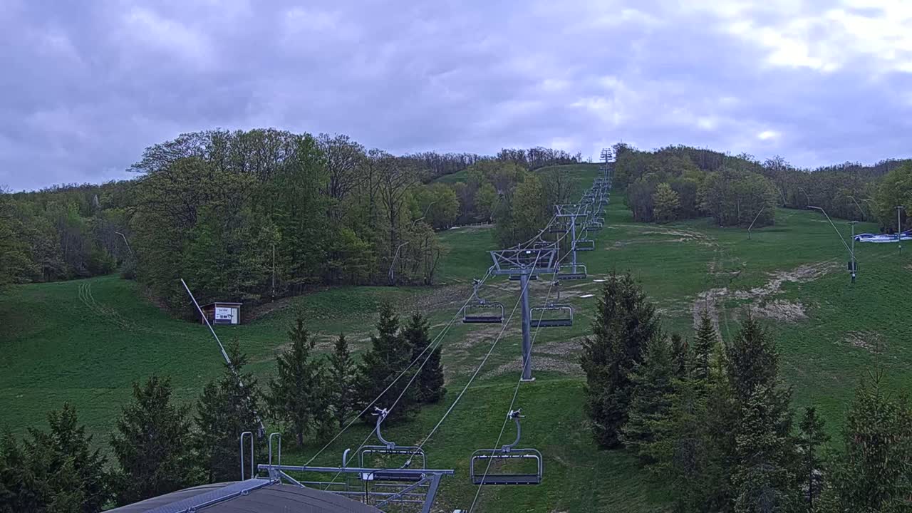 A chairlift ascends a grassy hill dotted with evergreen trees under a cloudy sky.