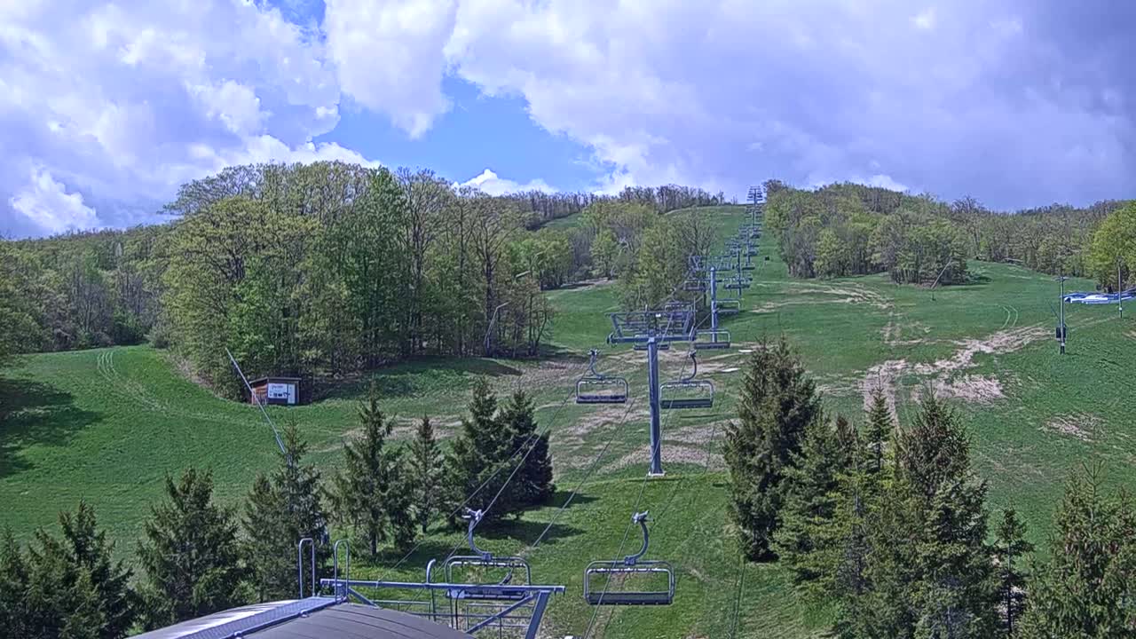 A ski lift extends across a grassy hillside dotted with evergreen trees under a partly cloudy sky.