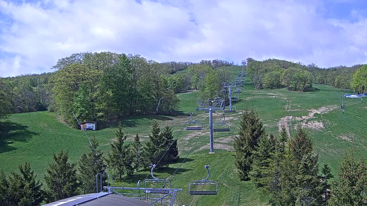 A chairlift ascends a grassy hillside dotted with evergreen trees under a partly cloudy sky.