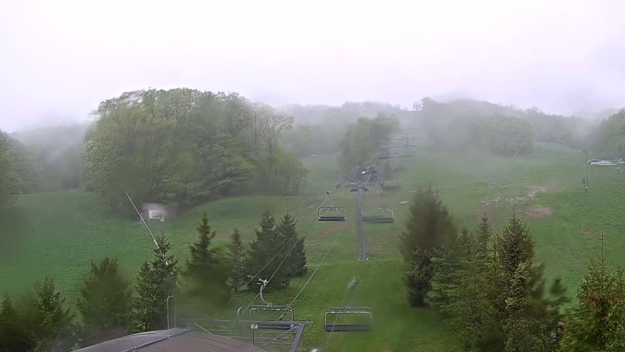 A chairlift ascends a grassy hill shrouded in fog, surrounded by lush green trees.