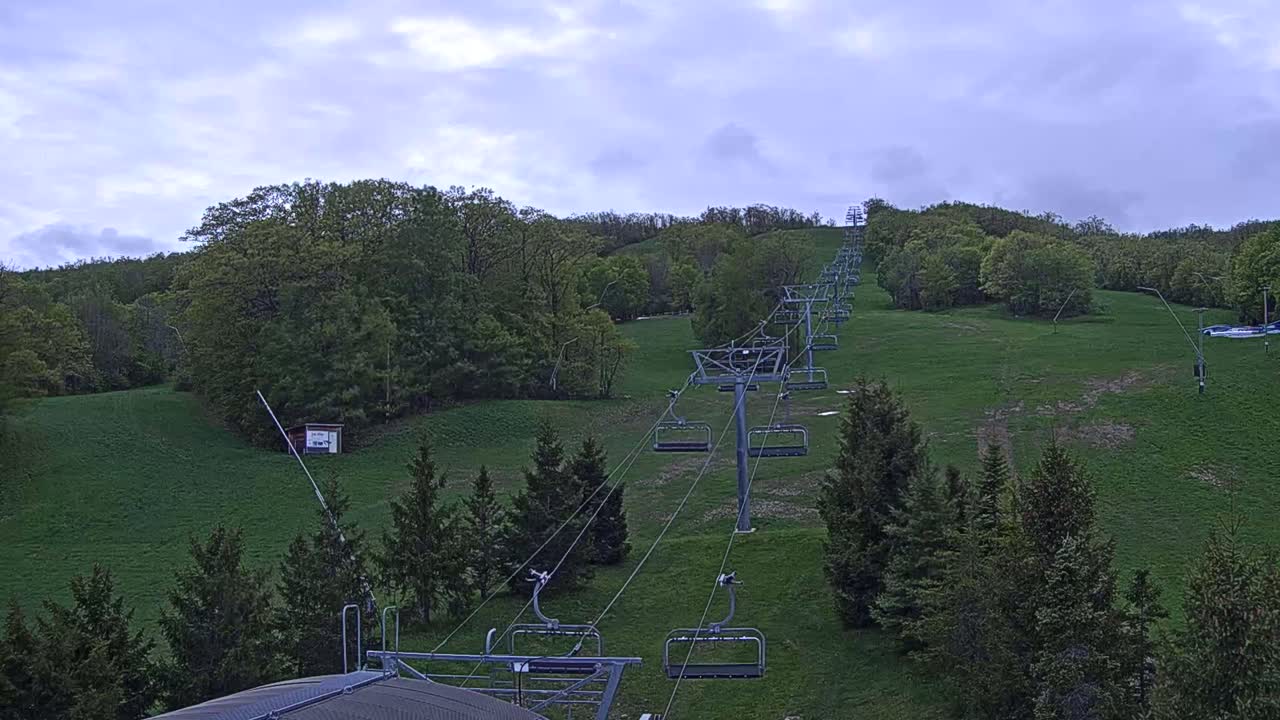 A chairlift ascends a grassy hill covered in deciduous trees under a cloudy sky.