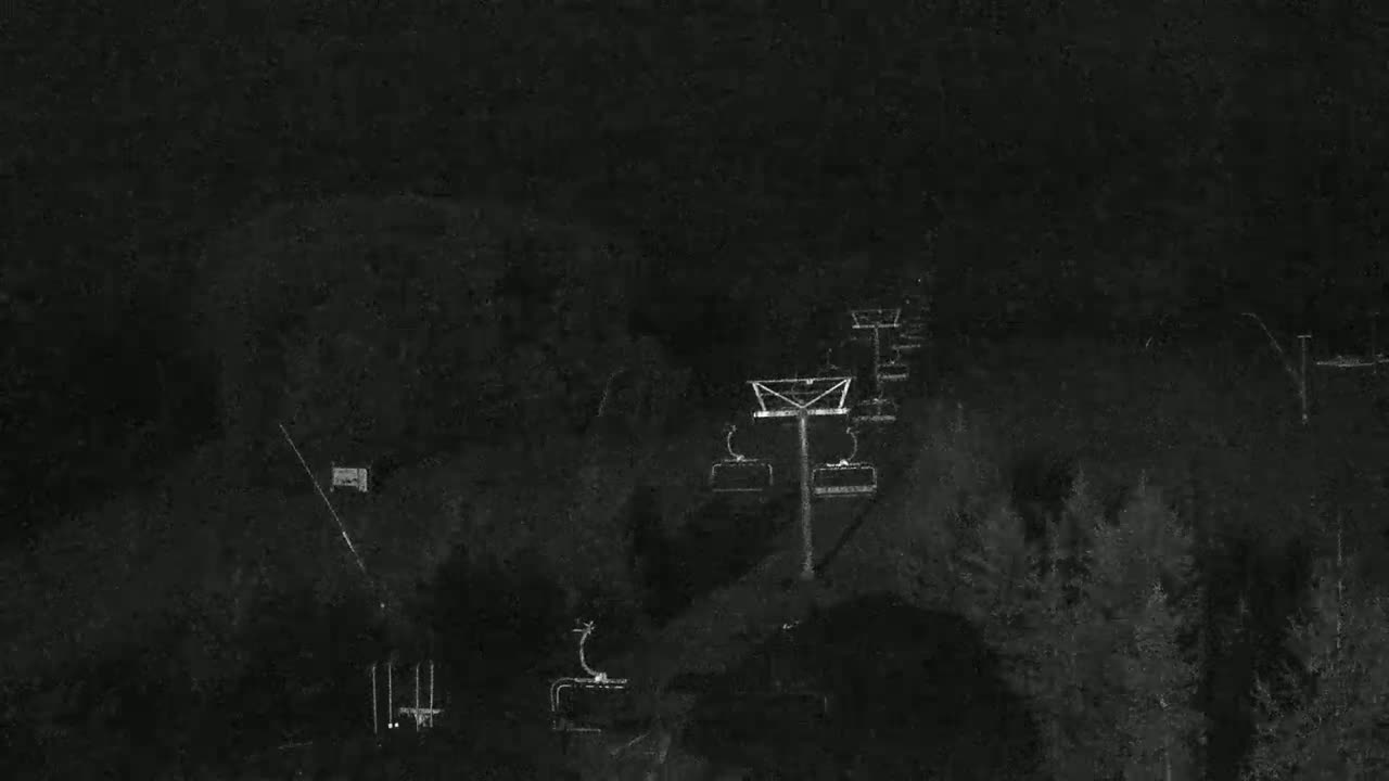 A nighttime view of a ski lift and surrounding dark trees under a dark sky.