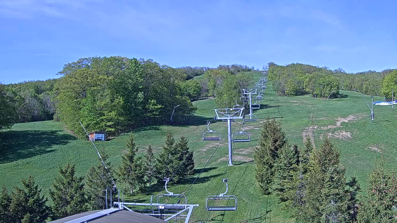 A chairlift ascends a grassy hill dotted with evergreen trees under a clear blue sky.