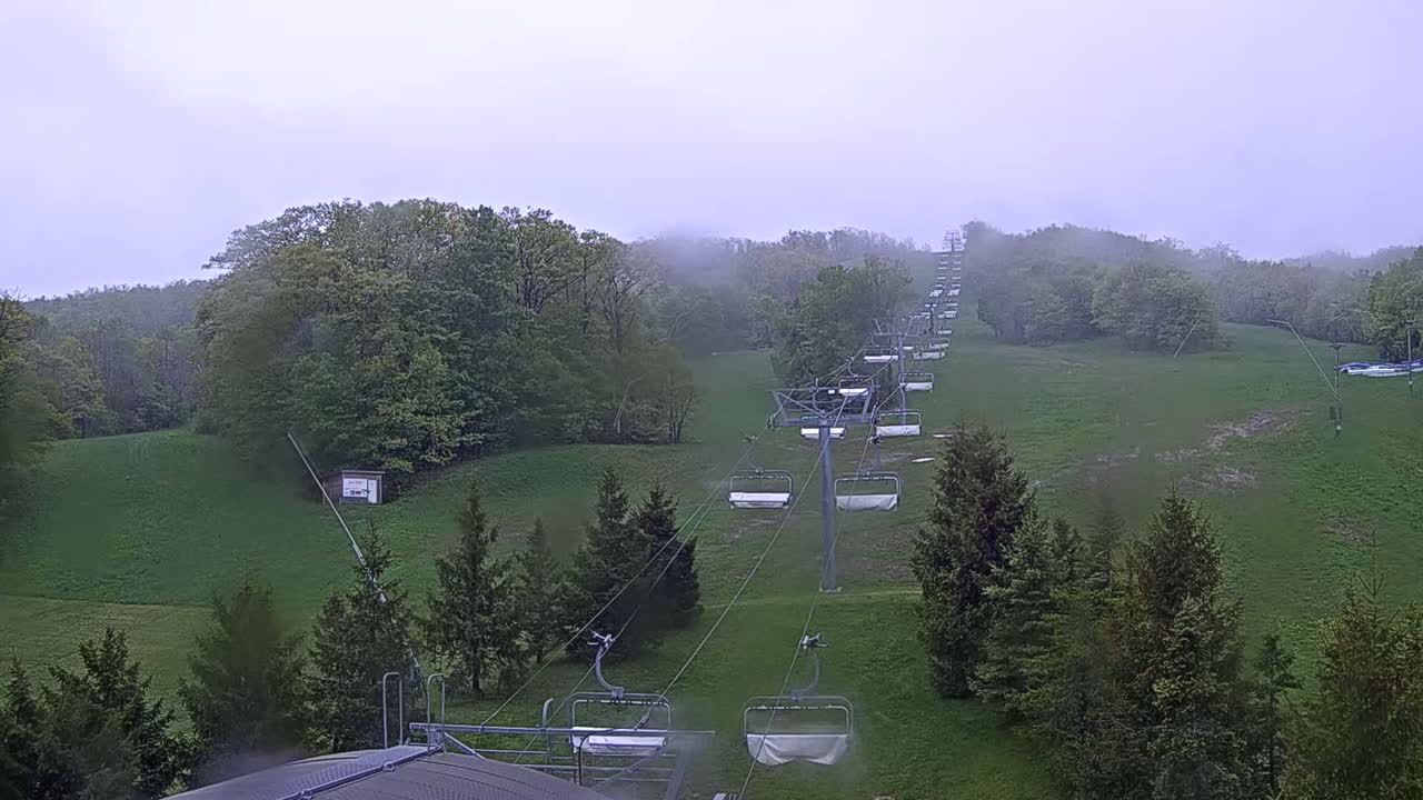 A chairlift ascends a grassy hill covered in trees under a foggy sky.