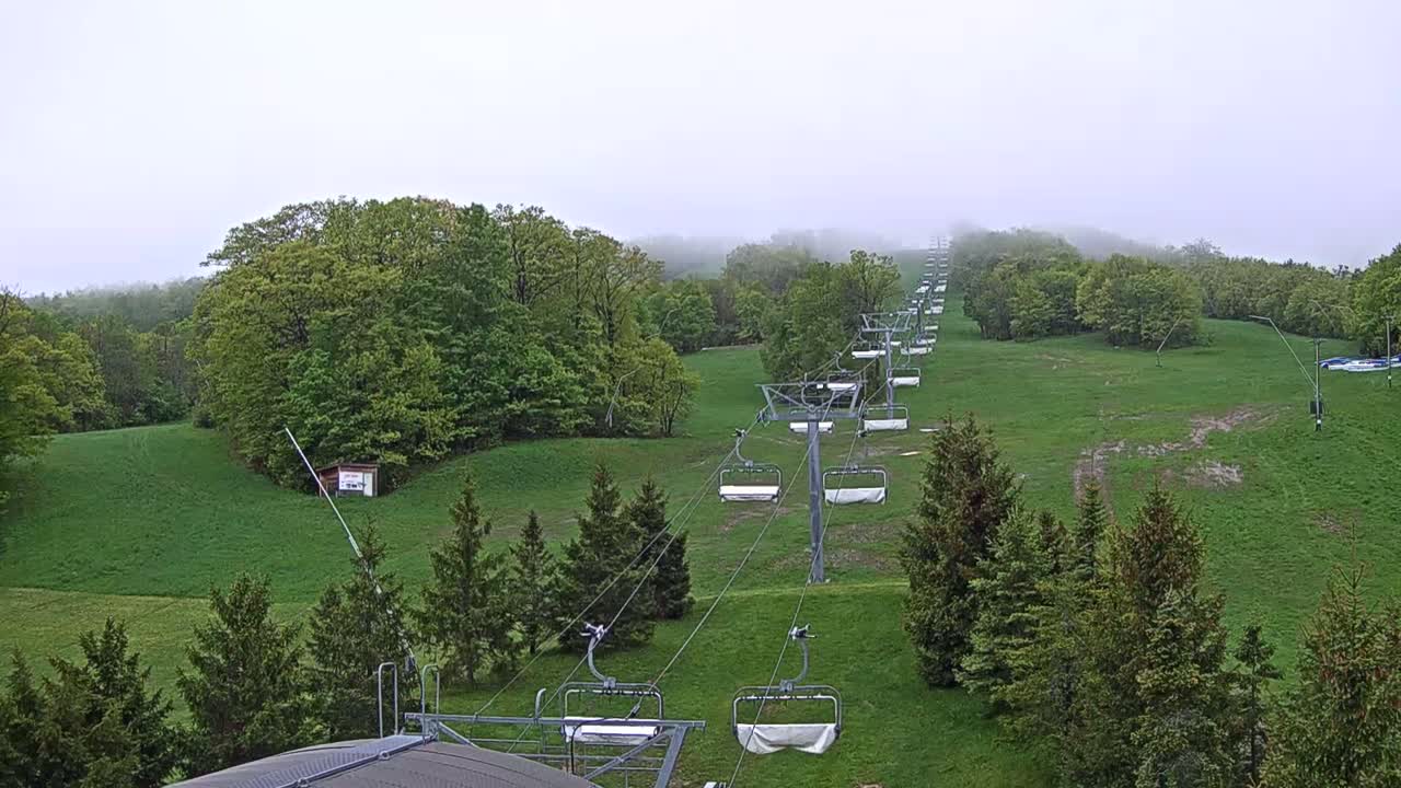 A chairlift ascends a grassy hill covered in lush green trees under a foggy sky.