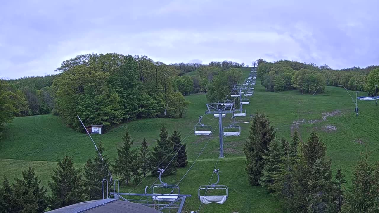 A chairlift ascends a grassy hillside covered in green trees under a cloudy sky.