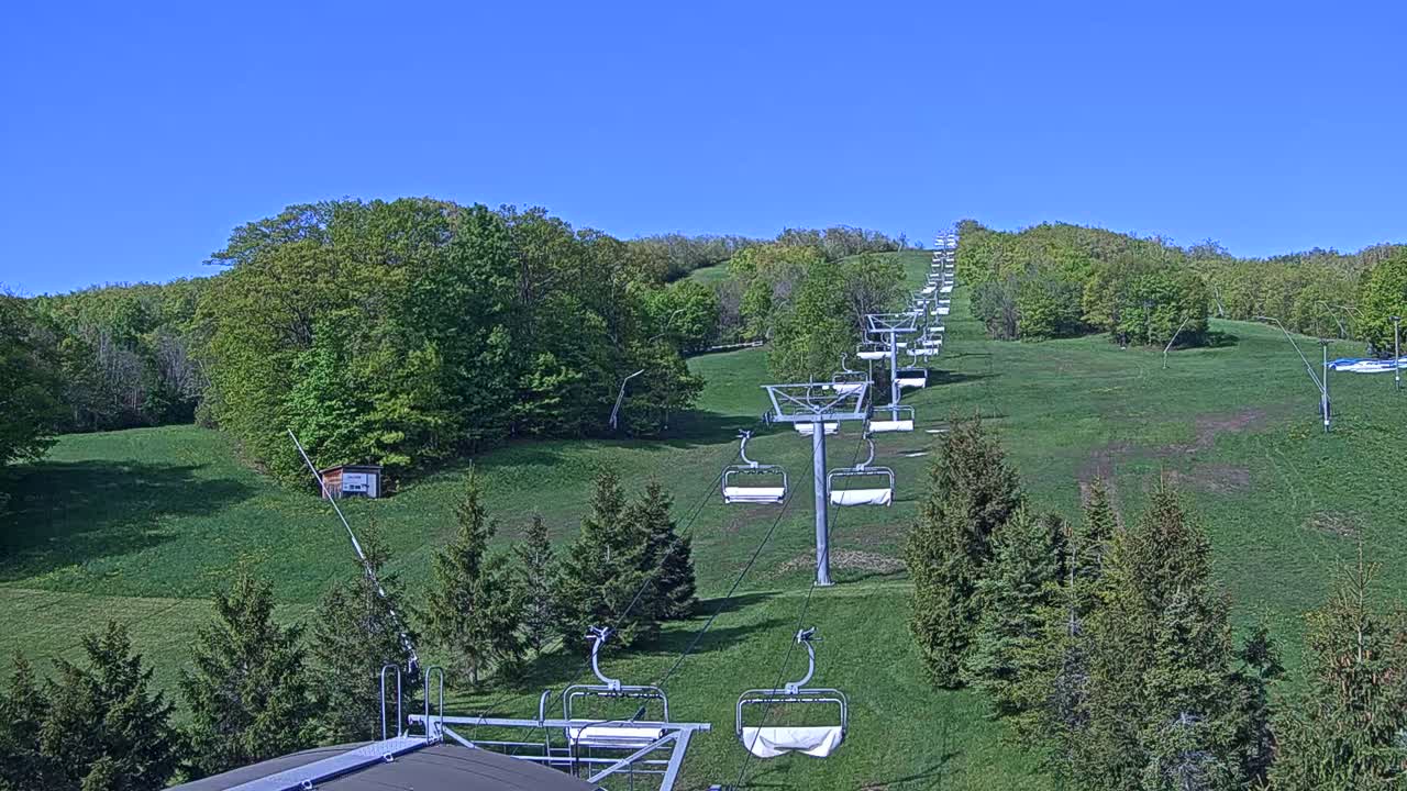 A chairlift extends up a grassy hill dotted with evergreens under a clear blue sky.