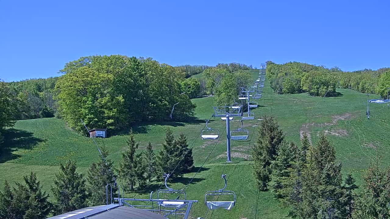 A chairlift ascends a grassy hillside dotted with evergreen trees under a clear blue sky.