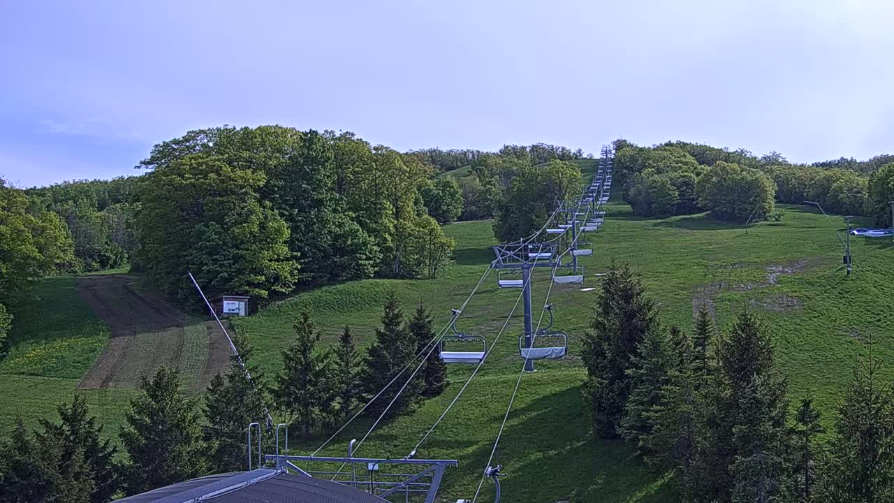 A chairlift ascends a grassy hill dotted with evergreen trees under a clear, bright sky.