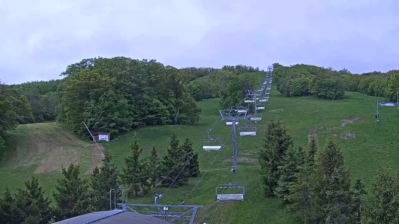 A chairlift ascends a grassy hill covered in lush green trees under a cloudy sky.