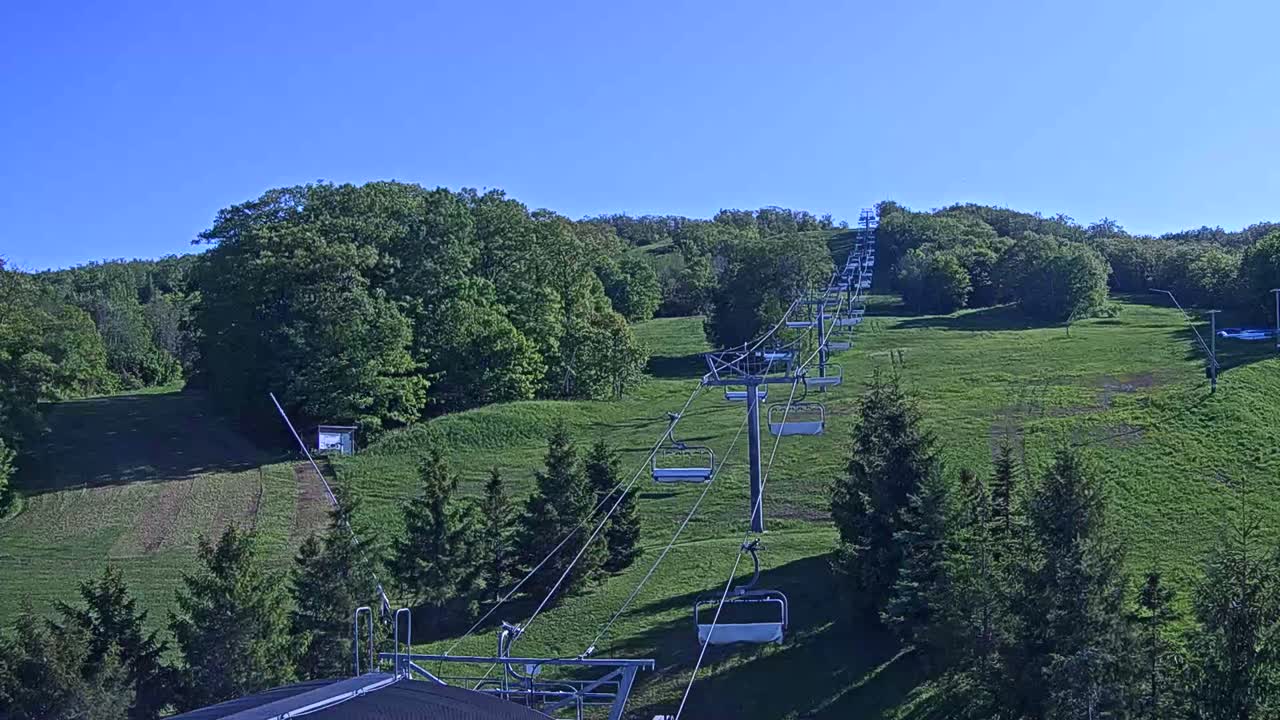 A chairlift ascends a grassy hillside covered in lush green trees under a clear blue sky.